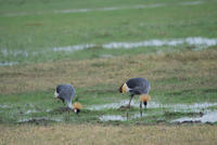 dsc_1571.jpg