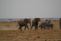 dsc_1586.jpg