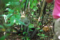 dsc_1871.jpg