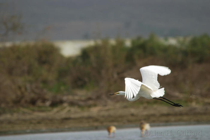 dsc_1307.jpg