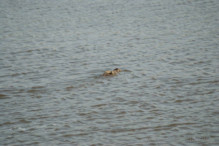 dsc_3612.jpg