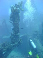 dscf1592.jpg