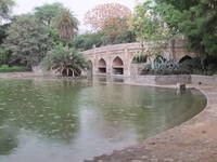 dscf2298.jpg