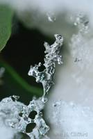 dsc_5542.jpg
