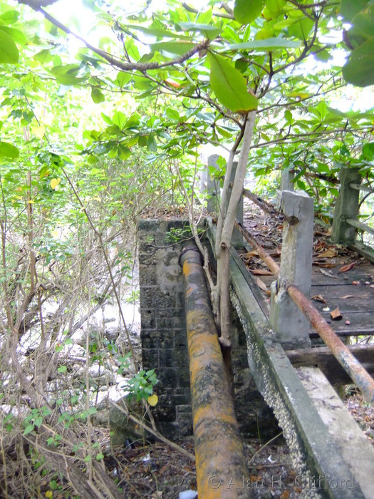 Joe&rsquo;s River Bridge