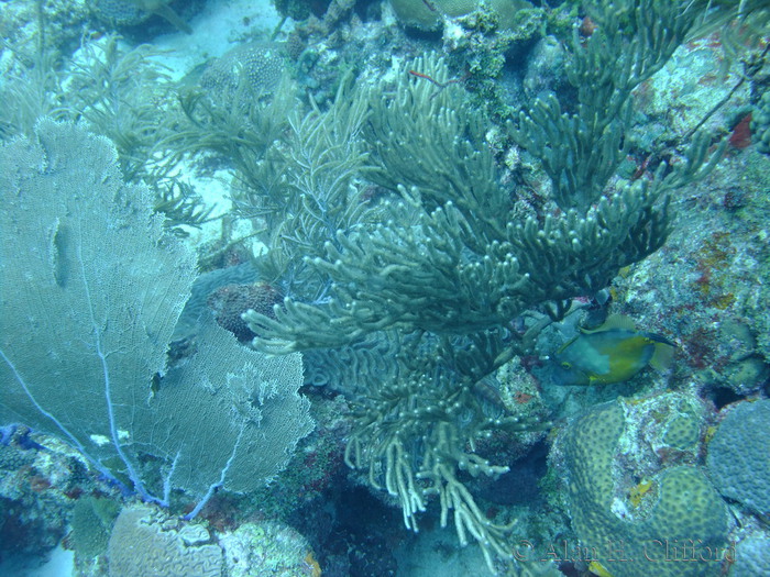 dscf2204.jpg