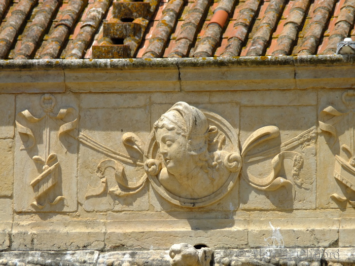 x-s1_2989.jpg