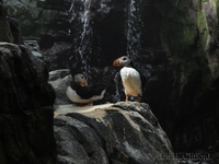 x-s1_2796.jpg